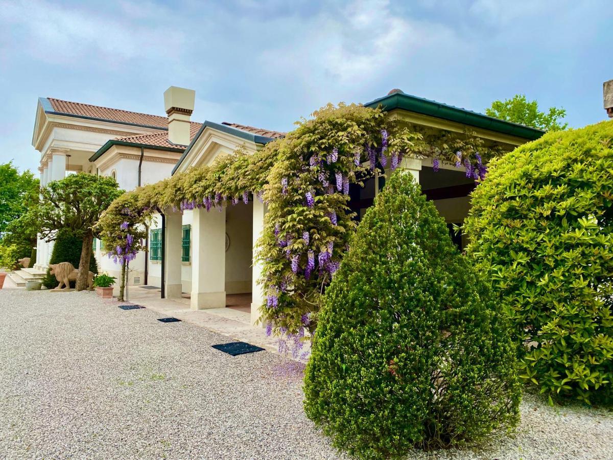 Apartment Gerla, Un Angolo Di Paradiso Vicino E Venezia *